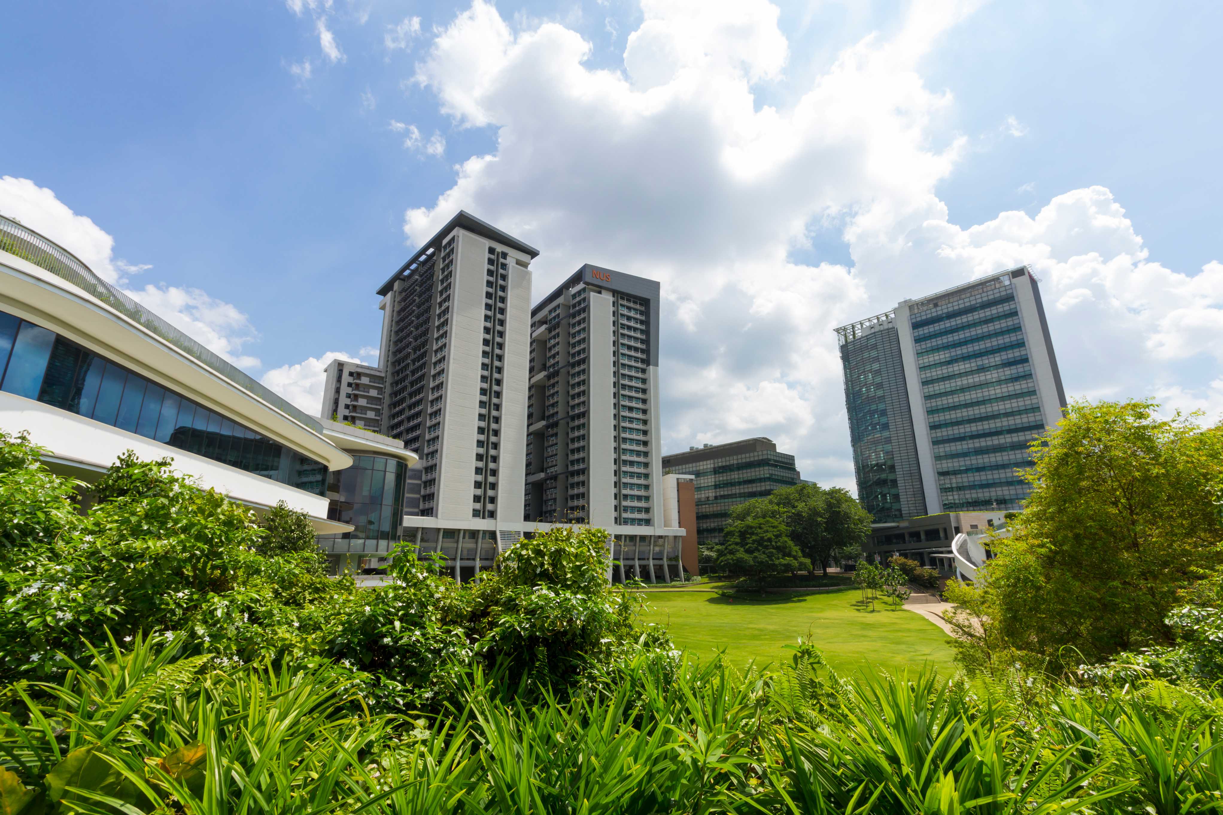 National University of Singapore