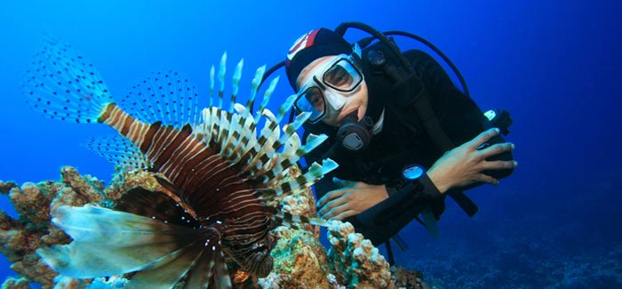 Marine Scientist