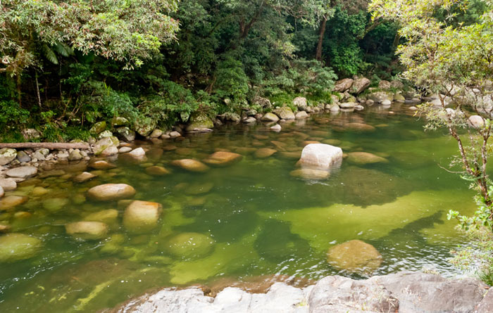 Mossman Gorge