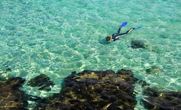 Rottnest Island